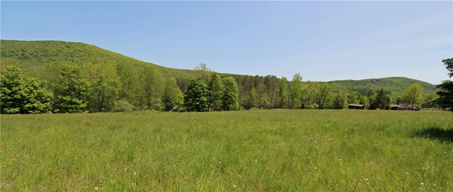 John Shultis Road, Roxbury, NY 12474 - #3