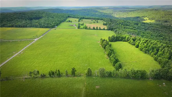 V/L-4 Putt Hill Road, Chemung, NY 14825