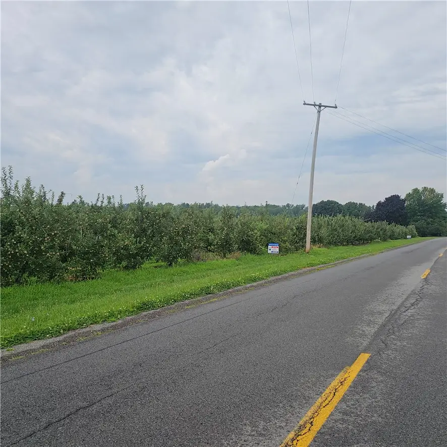 3120 Densmore Road, Albion, NY 14411 - #2