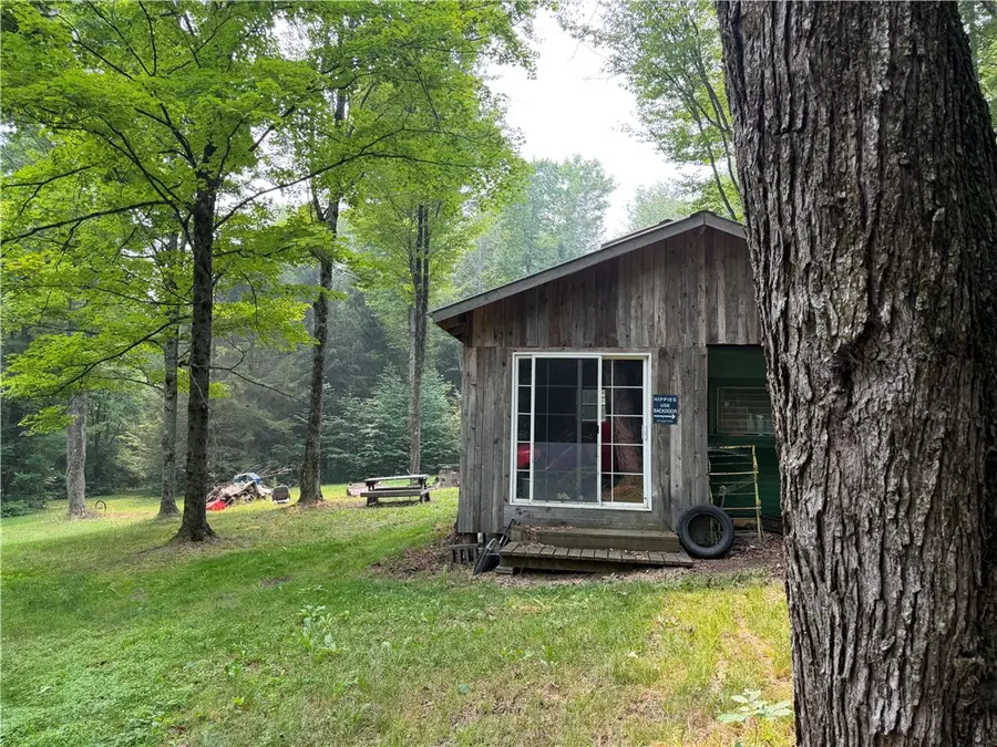 WP01 Starr Road, Campbell, NY 14821 - #2