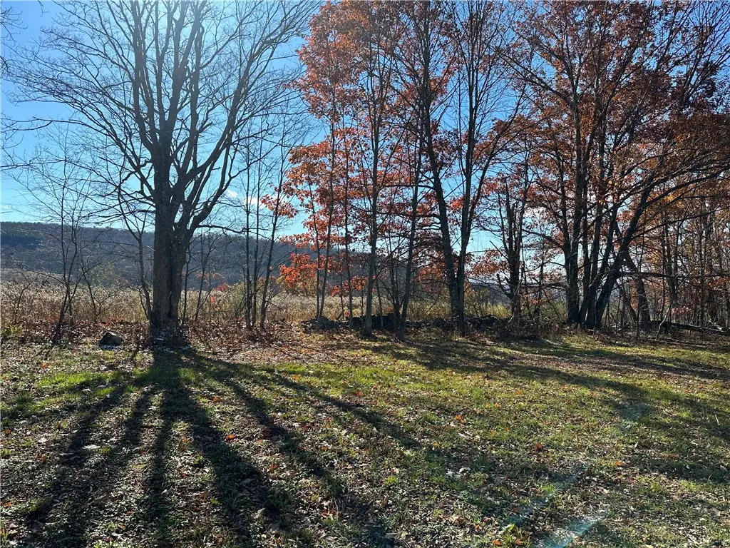 12522 State Highway 206, Walton, NY 13860 - #1