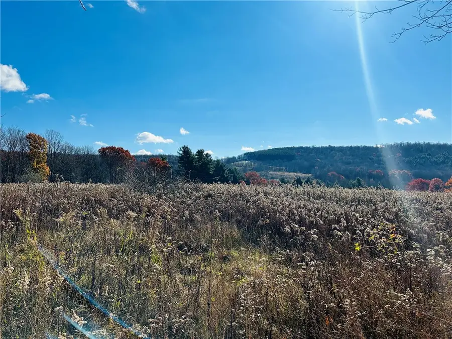 12522 State Highway 206, Walton, NY 13860 - #2