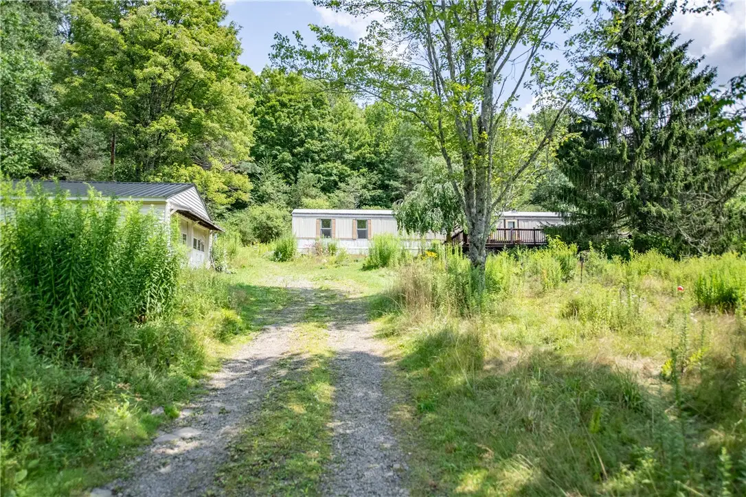 4166 Dryden Road, Walton, NY 13856 - #1