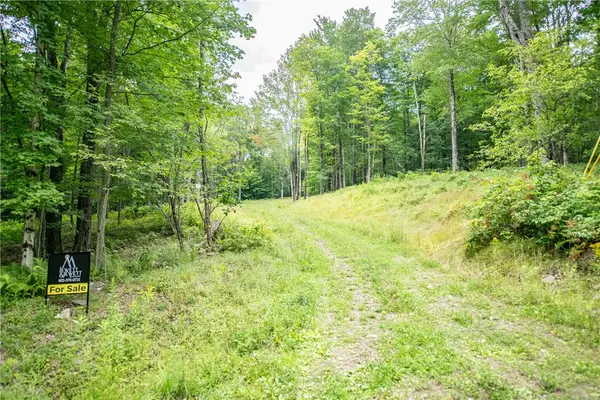Lot 8 Beaver Creek Hollow Road, Andes, NY 13752