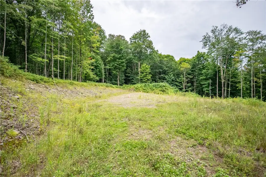 Lot 8 Beaver Creek Hollow Road, Delancey, NY 13752 - #2