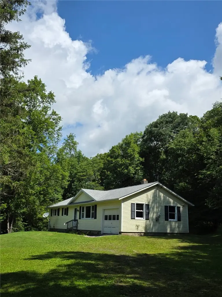 187 Franskevicz Road, Hancock, NY 13783 - #1