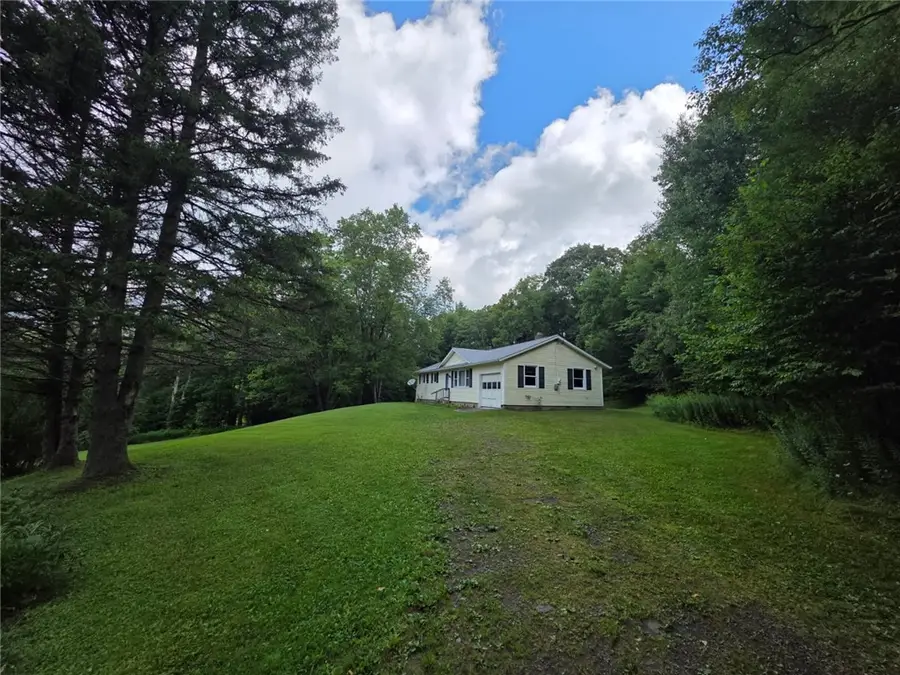 187 Franskevicz Road, Hancock, NY 13783 - #2