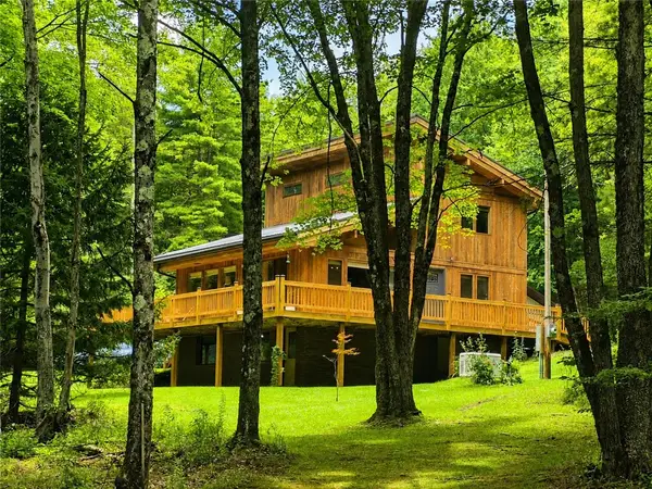 593 Blakesley Nurse Hollow Road, Afton, NY 13730
