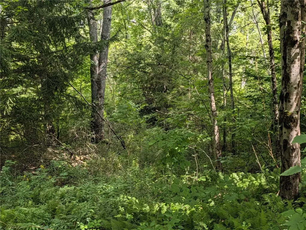 E Afton Road, Afton, NY 13730 - #1