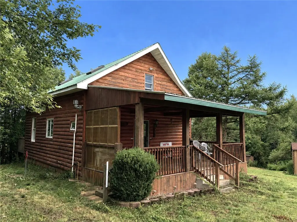 10005 Sawmill Run Road, Little Valley, NY 14755 - #1
