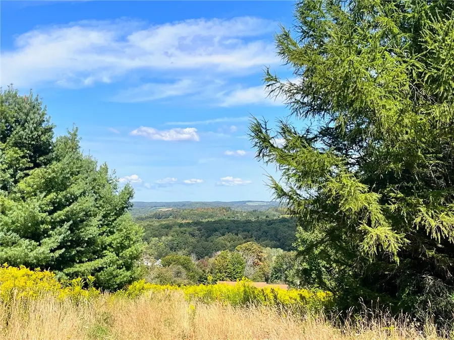 10005 Sawmill Run Road, Little Valley, NY 14755 - #2