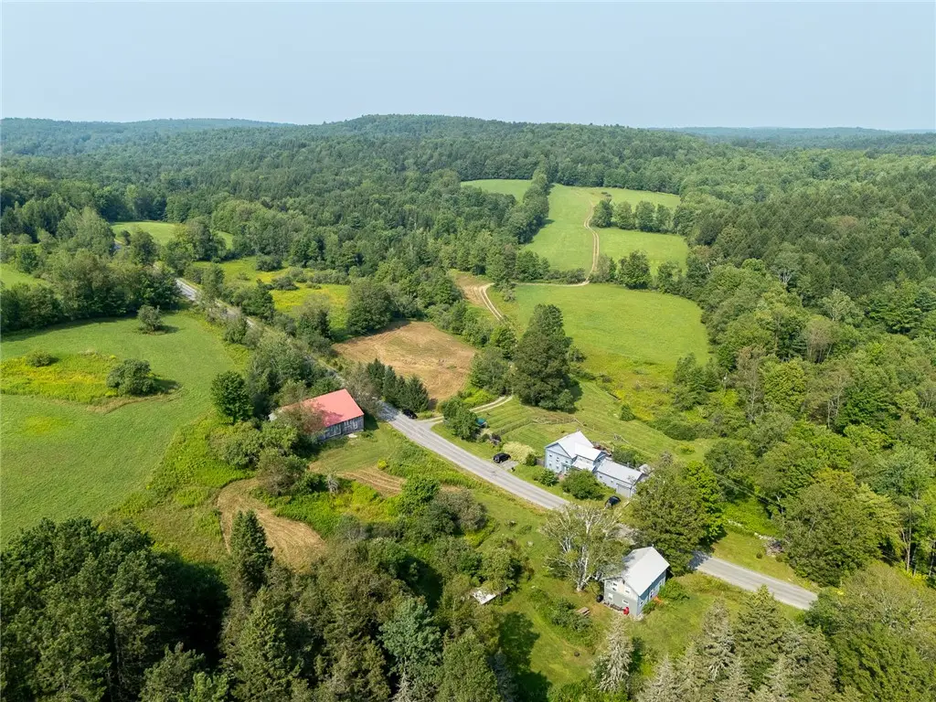396 Austin Road, Jefferson, NY 12093 - #1