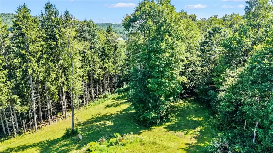 25 Goodrich Hill Road, Berkshire, NY 13736 - #3