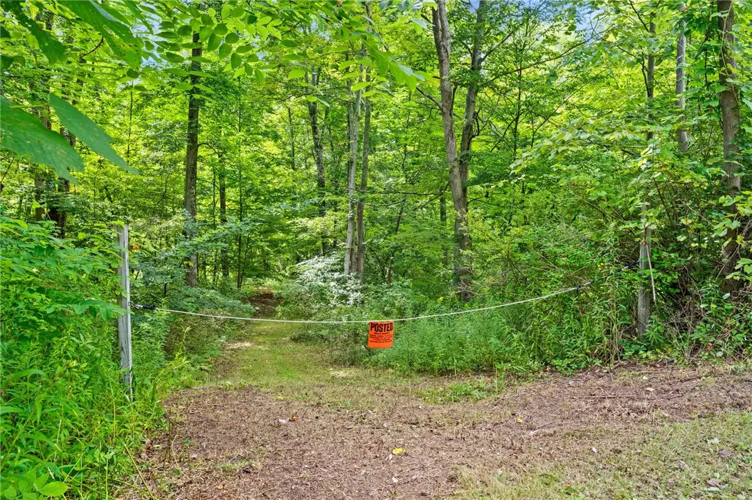 402 Brooktondale Road, Brooktondale, NY 14817 - #1