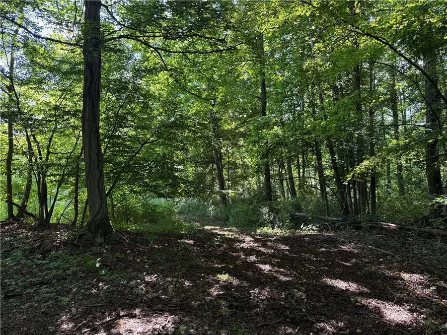 402 Brooktondale Road, Brooktondale, NY 14817 - #3