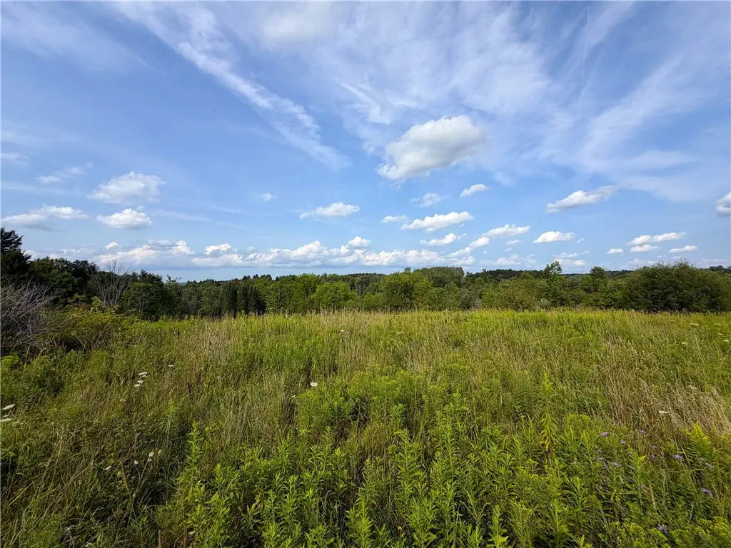 0 Michigan Road, Arcade, NY 14009 - #1
