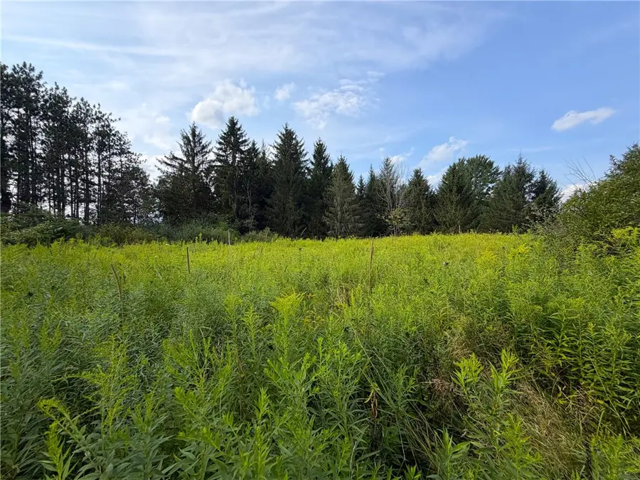 0 Michigan Road, Arcade, NY 14009 - #3
