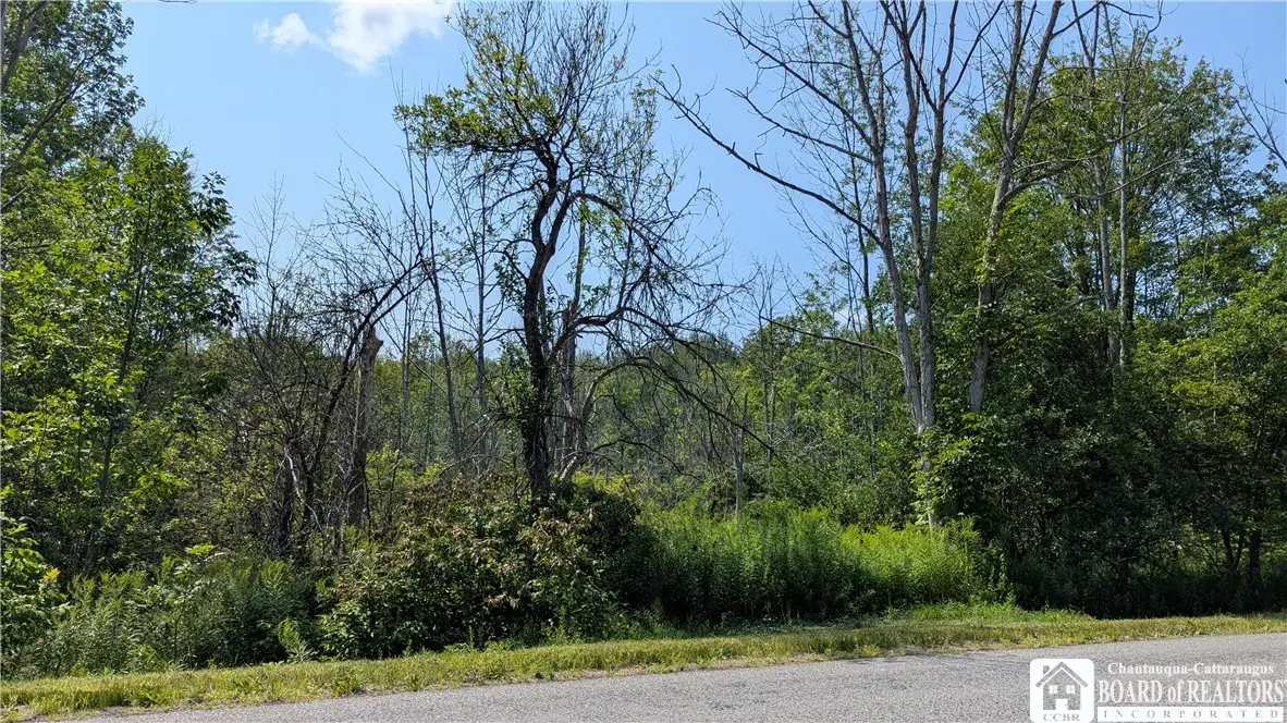 Beech Tree Road, West Valley, NY 14171 - #1