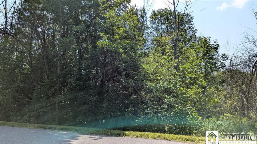 Beech Tree Road, West Valley, NY 14171 - #2