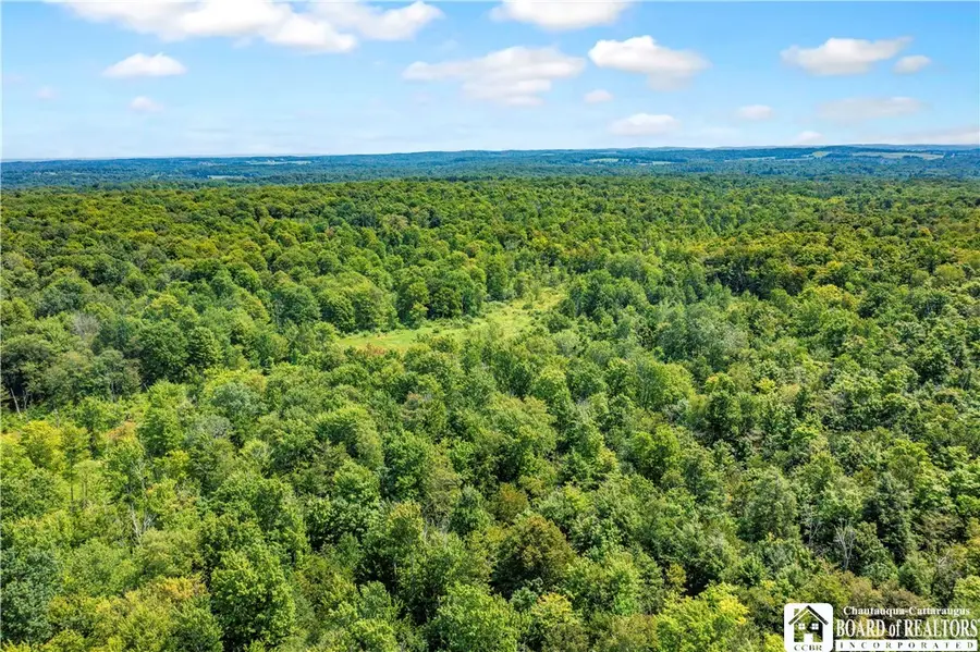 5184 Route 76, Ripley, NY 14775 - #3