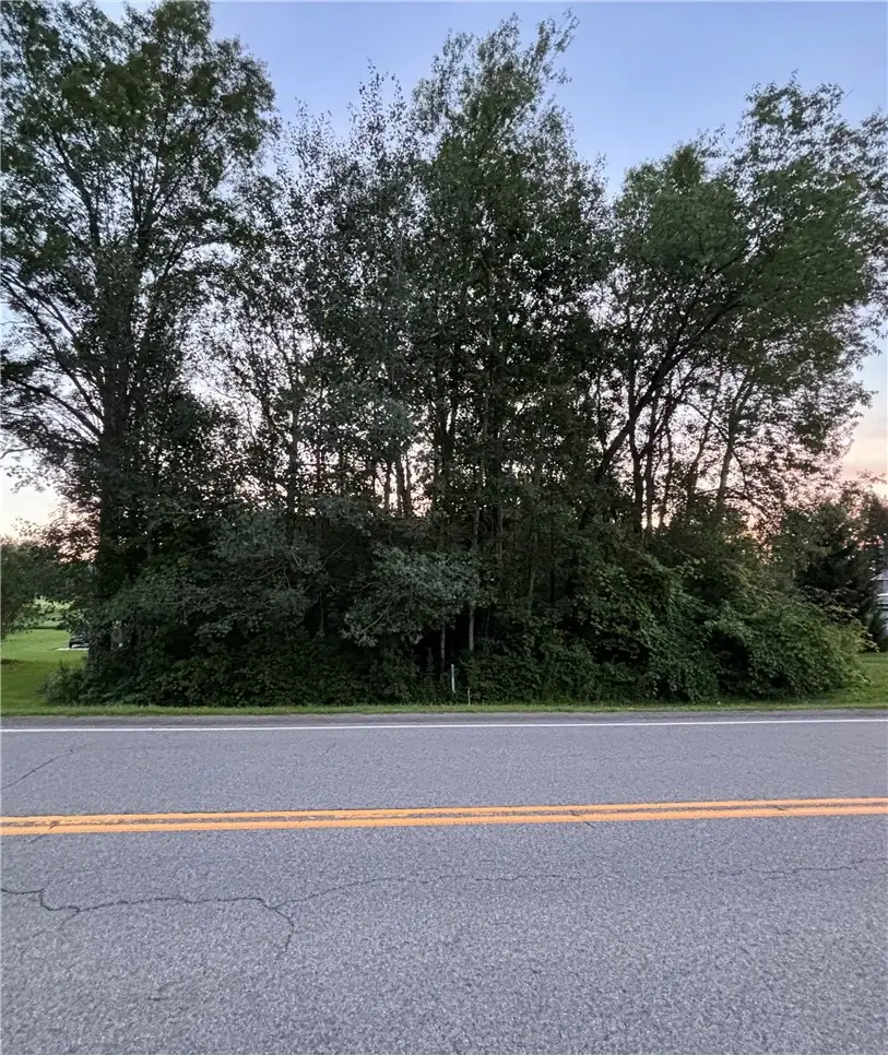 County Route 121, Cohocton, NY 14826 - #1