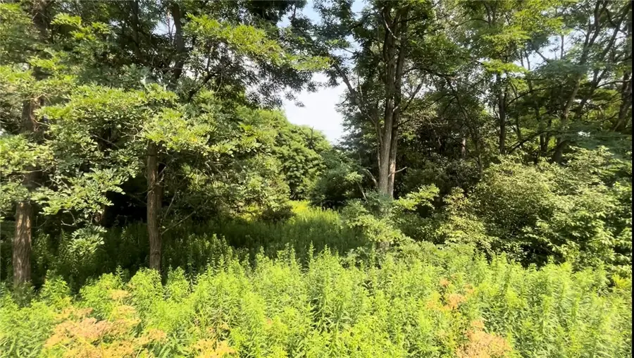 Cecil Keane Road, Brooktondale, NY 14817 - #3