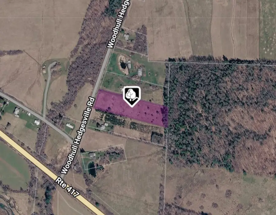 1928 County Route 102, Woodhull, NY 14898 - #2