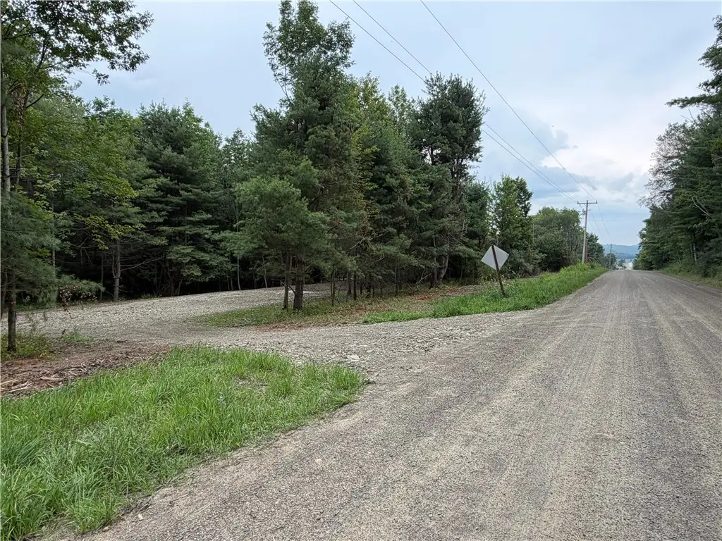 5279 South Church Rd, Cameron, NY 14820 - #1