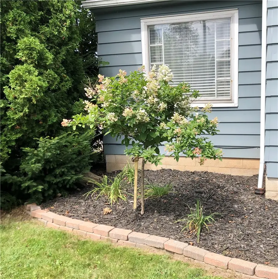 194 Legion Circle, Rochester, NY 14616 - #2