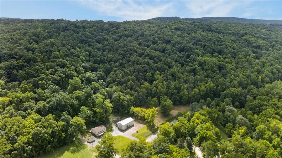 10720 Poags Hole Road, Dansville, NY 14437 - #3