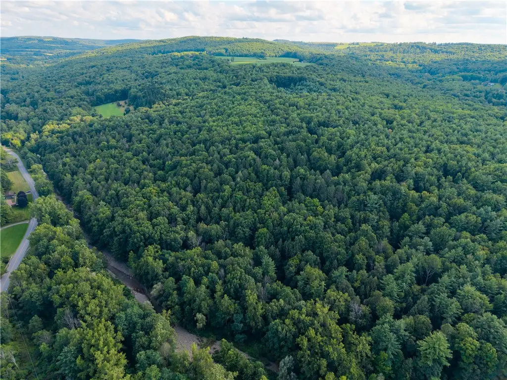 County Route 46, Dansville, NY 14437 - #1