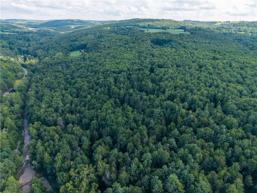 County Route 46, Dansville, NY 14437 - #3