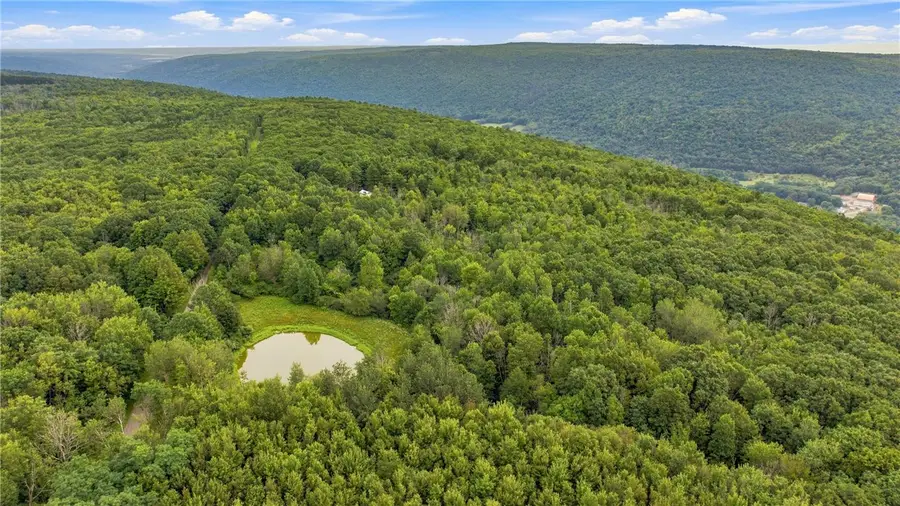 4049 Wood Hill Road, Naples, NY 14512 - #2