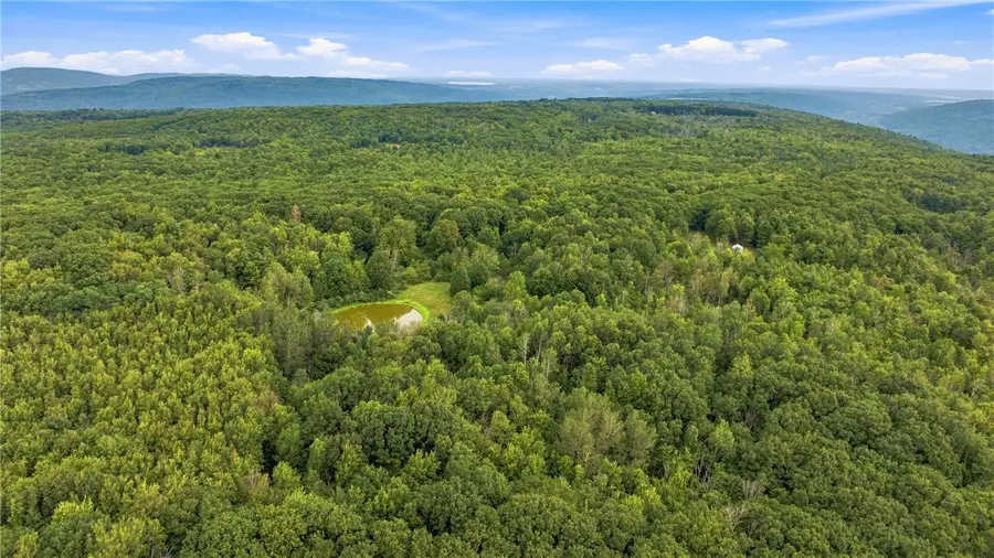 4049 Wood Hill Road, Naples, NY 14512 - #3