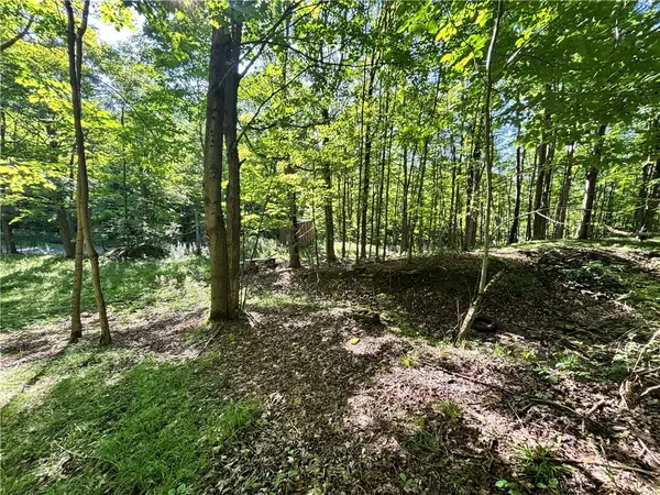 6952 Canadice Hill Road, Springwater, NY 14560