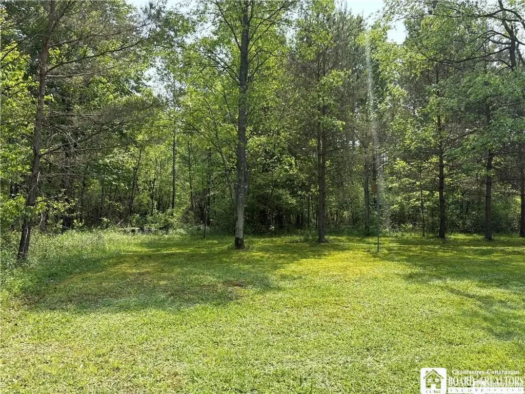 Burton Road, Jamestown, NY 14701 - #1
