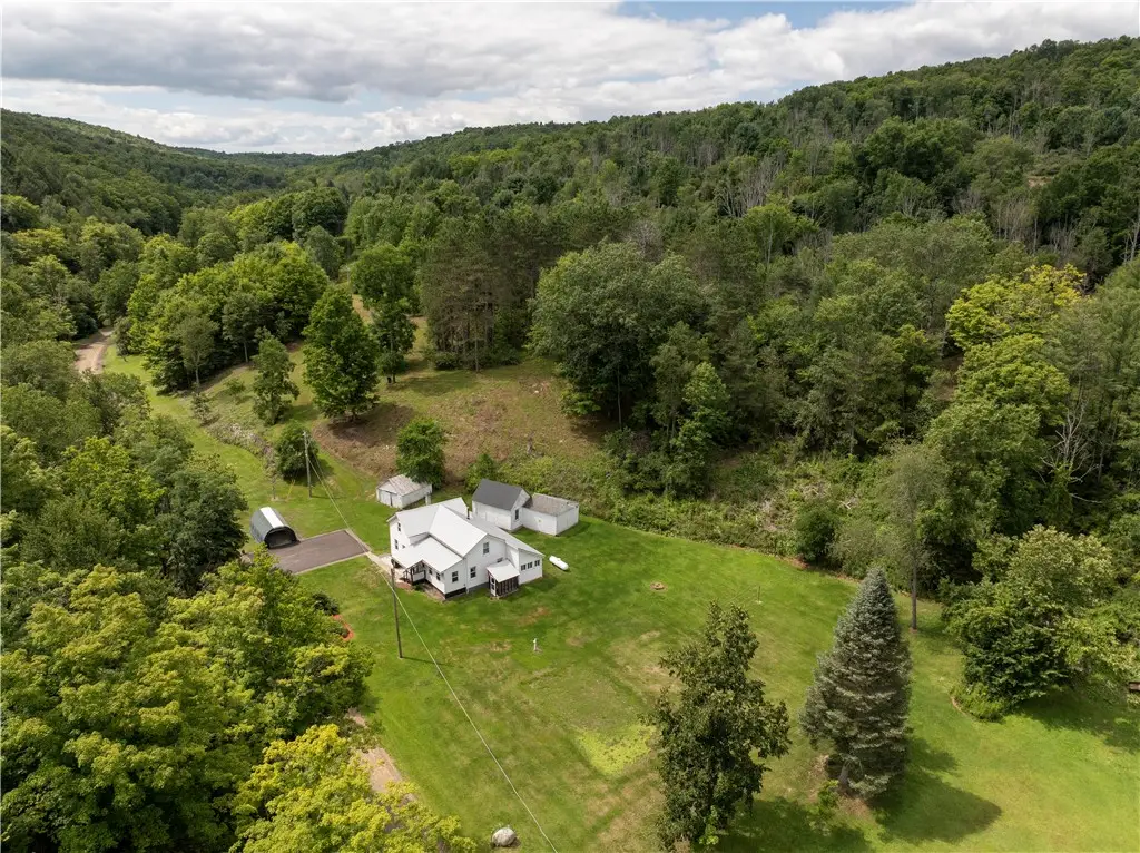 6961 Wilbur Road, Bath, NY 14810 - #1