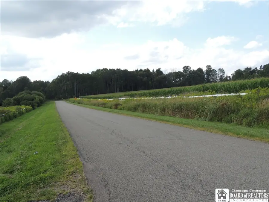 Mead Road N, Lakewood, NY 14750 - #2
