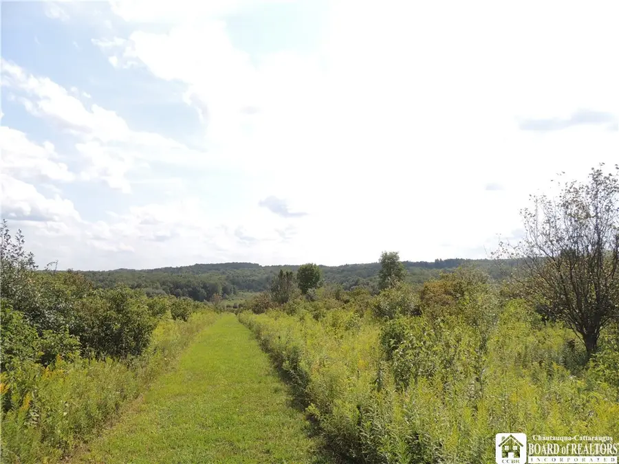Mead Road N, Lakewood, NY 14750 - #3