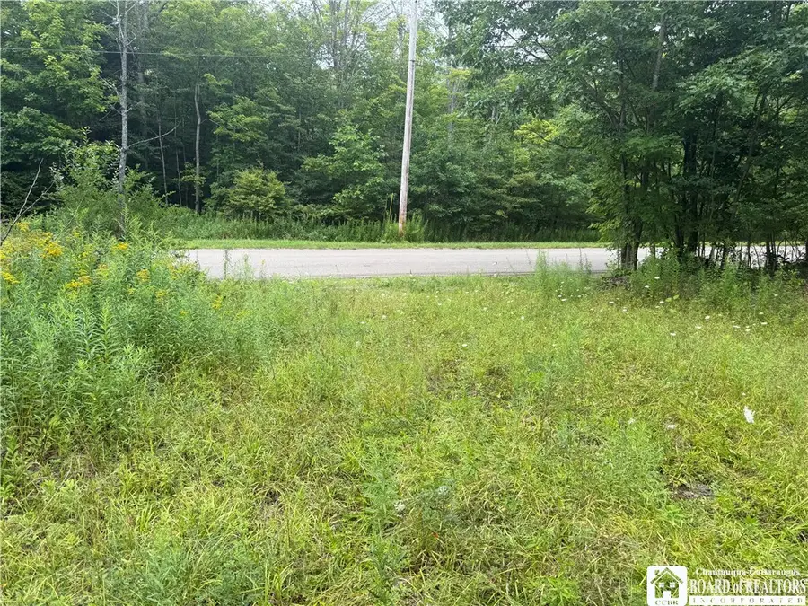 Morgan Hollow Road, Allegany, NY 14706 - #2