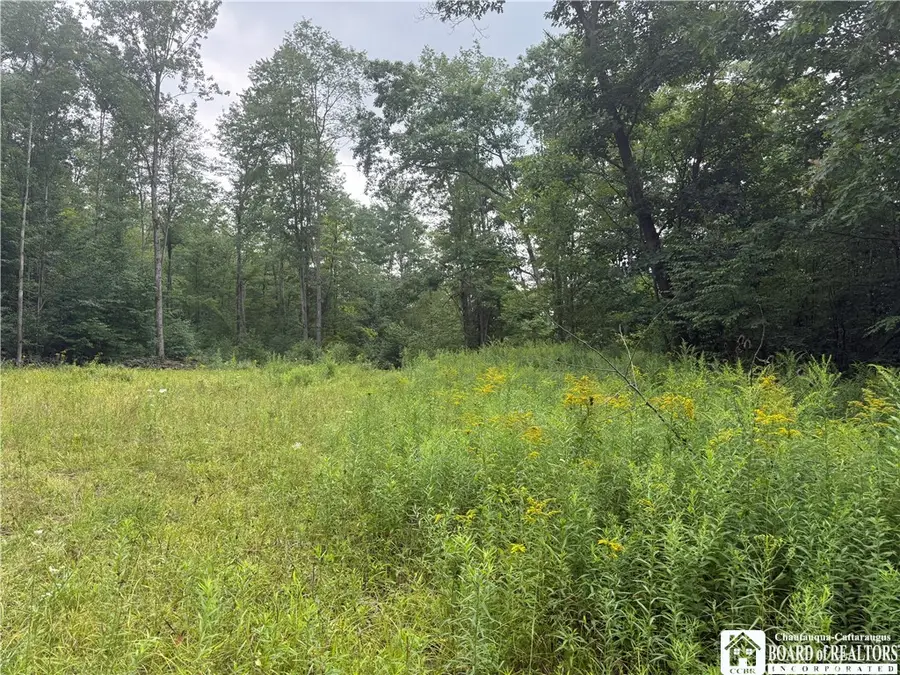 Morgan Hollow Road, Allegany, NY 14706 - #3