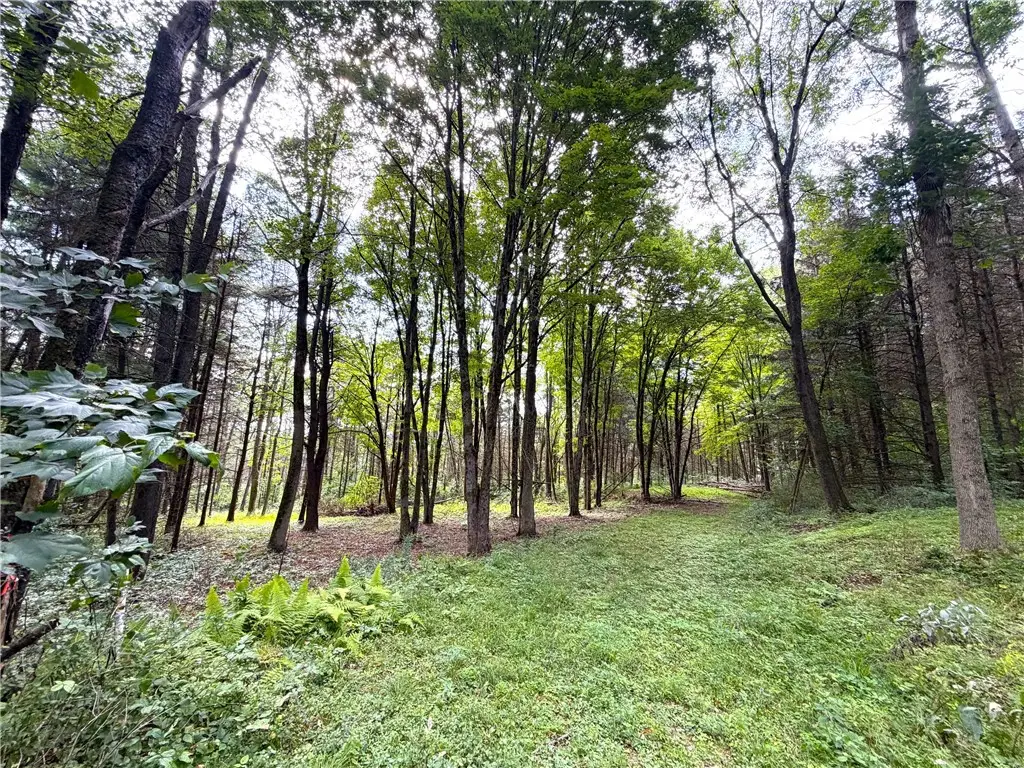 2 Dutton, Cuba, NY 14727 - #1