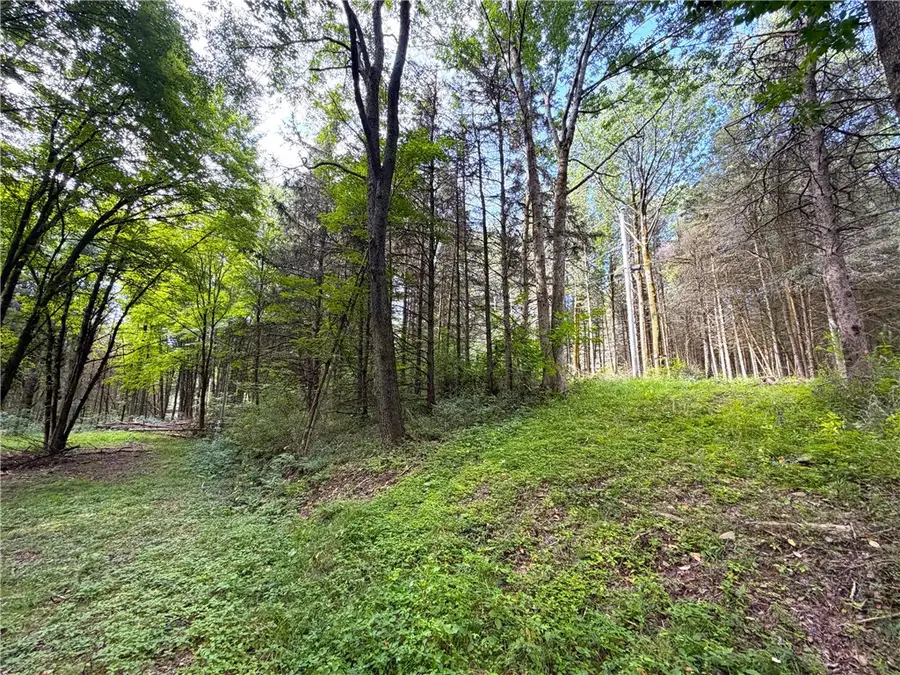 2 Dutton, Cuba, NY 14727 - #2