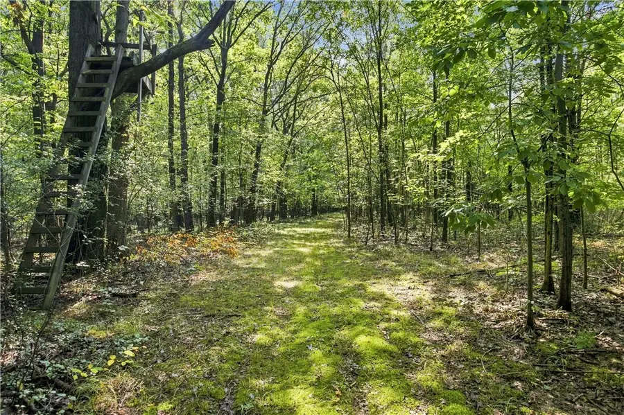Sherman Hollow Road, Branchport, NY 14418 - #3