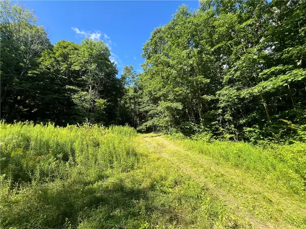Old Seventy Six Road, Brooktondale, NY 14817