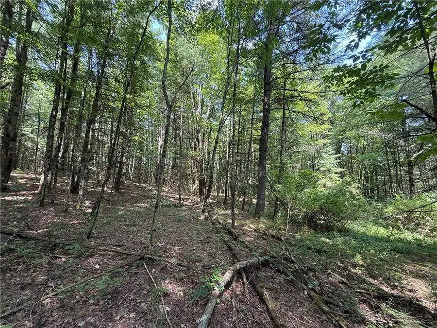 W Whitcomb Road, Barton, NY 13734 - #2