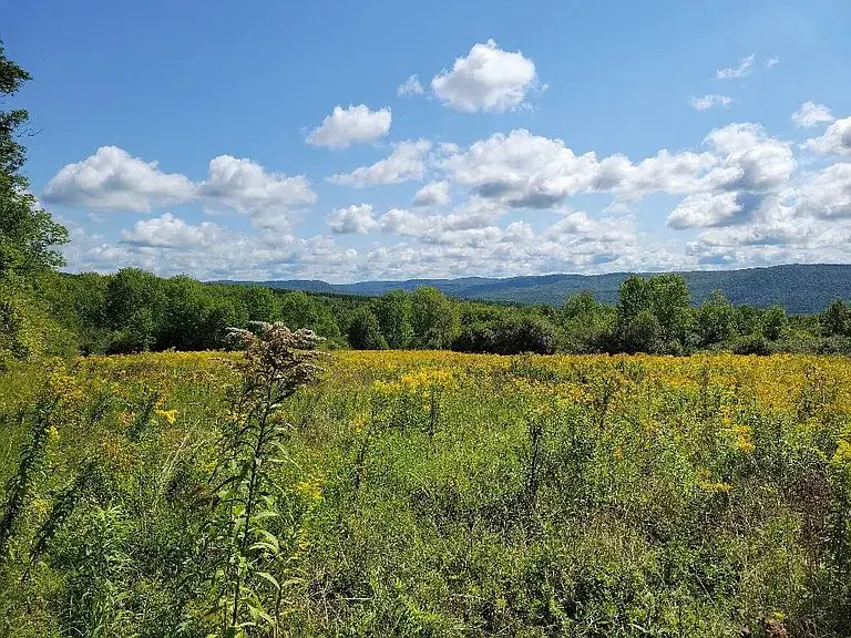 442 Roscoe Jones Road, Cooperstown, NY 13326 - #2