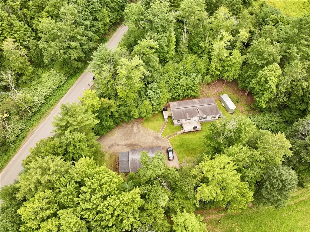 21 Candor Hill Rd, Candor, NY 13743 - #1