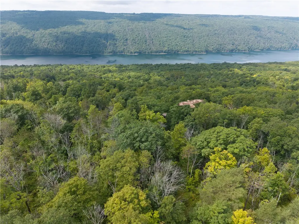 Old Bald Hill Road, Springwater, NY 14560 - #1