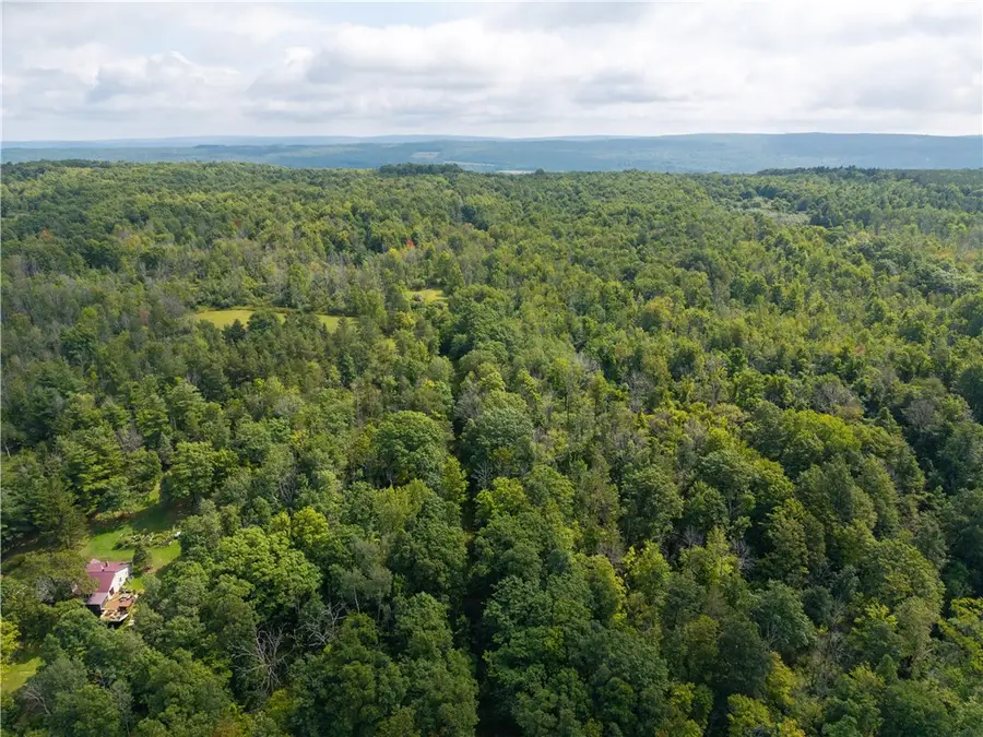 Old Bald Hill Road, Springwater, NY 14560 - #2